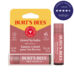 Burt's Bees Tinted Lip Balm
