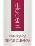 Anti Ageing Gentle Cleanser