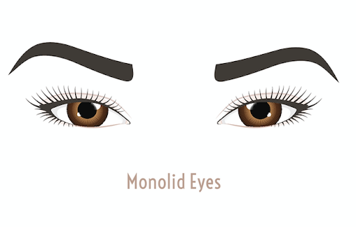 monolids