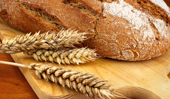 Getting to the guts of gluten intolerance