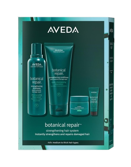 aveda botanical repair set at the iconic