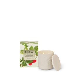 2026 Christmas – CIRCA Raspberry & Rhubarb Soy Candle